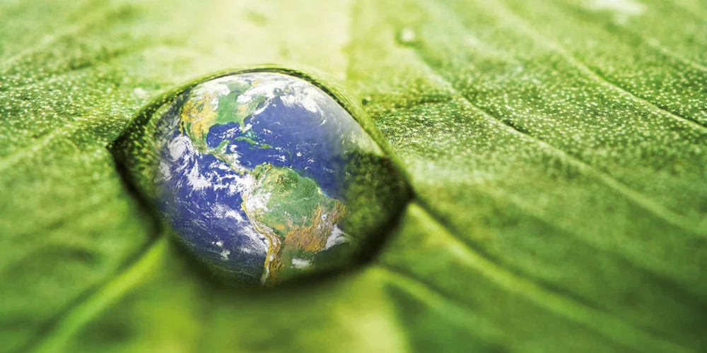 REACH: Chemical Regulation for the Protection of Humans & the Environment